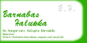barnabas halupka business card