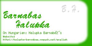 barnabas halupka business card